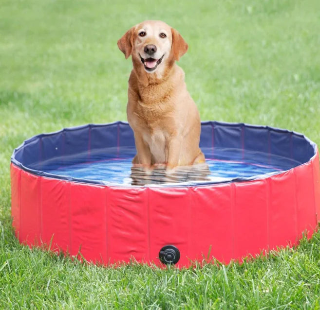 Pet Supplies, Foldable Swimming Pool