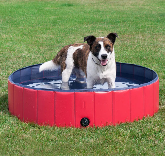 Pet Supplies, Foldable Swimming Pool
