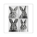 Black & White Bunny Face Square Sticker Set — Cute Rabbit Laptop Decal