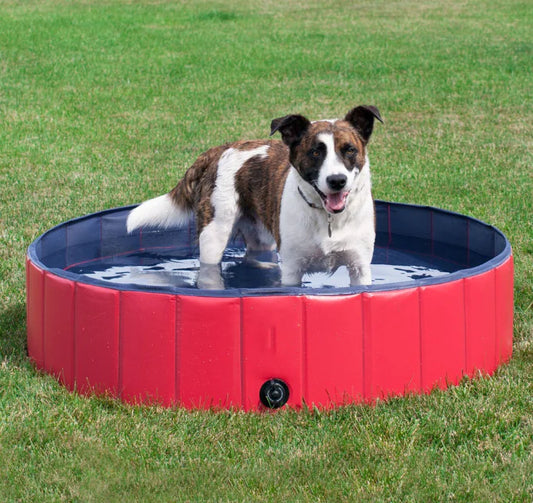 Pet Supplies, Foldable Swimming Pool