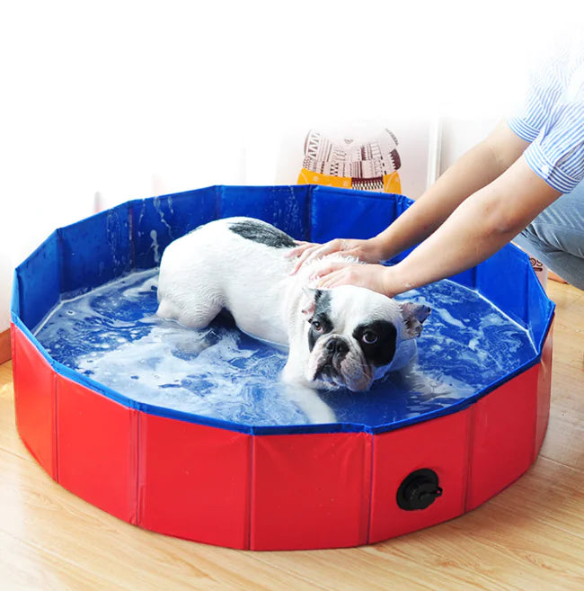 Pet Supplies, Foldable Swimming Pool